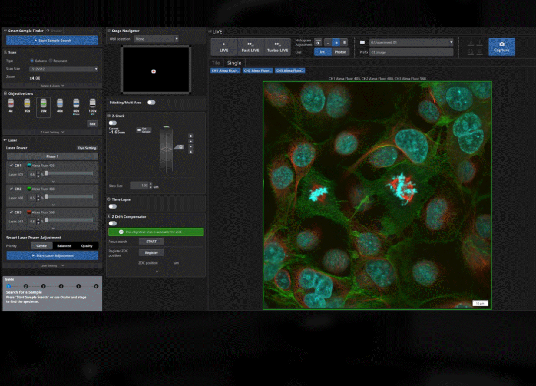 FLUOVIEW FV5000 智能全光谱共聚焦显微镜