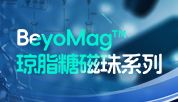 BeyoMag™琼脂糖磁珠：复杂样品照样高效分离纯化！