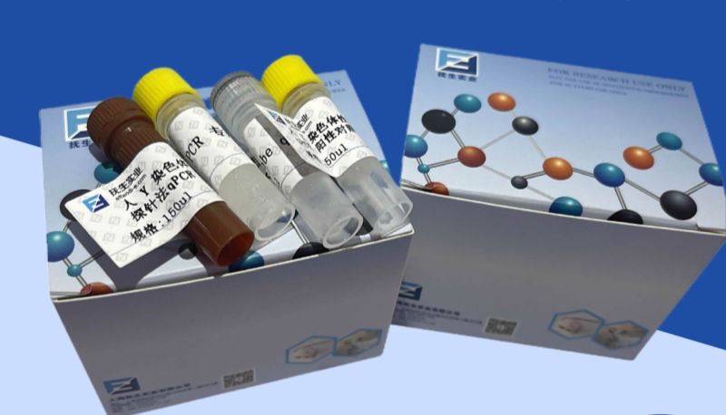 PCR 试剂盒的核心组成成分有哪些？各成分的作用是什么？