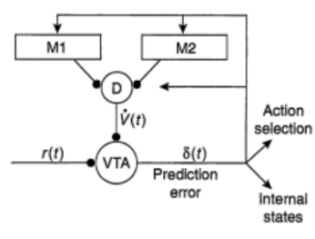 多巴胺能神经元工具鼠如何选择