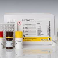 RIDASCREEN® EASY Mustard (芥末检测试剂盒)