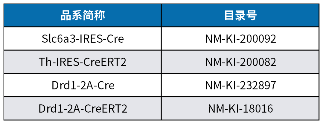多巴胺能神经元工具鼠如何选择