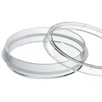 赛米科 100mm 高亲和力细胞培养皿  阳离子亲水层 + 低内毒  无菌即用 + 批次稳定  细胞贴附 & 显微观察双在线  