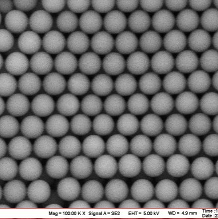 PLA 微球单分散聚乳酸微球