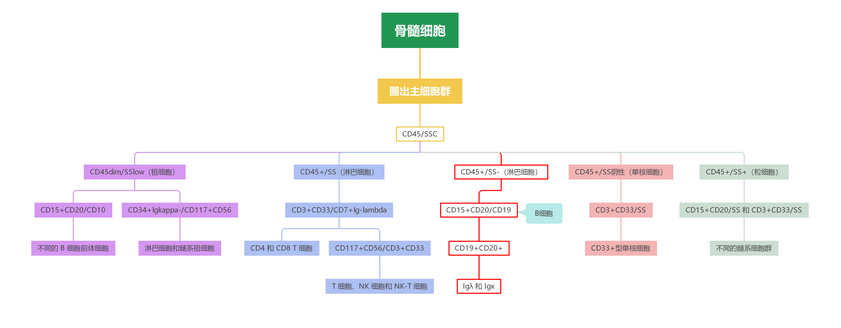 OMIP-010：用于稀有样本多谱系免疫表型分析的10色15抗体Panel