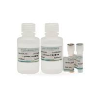 Annexin V-647/PI 细胞凋亡检测试剂盒