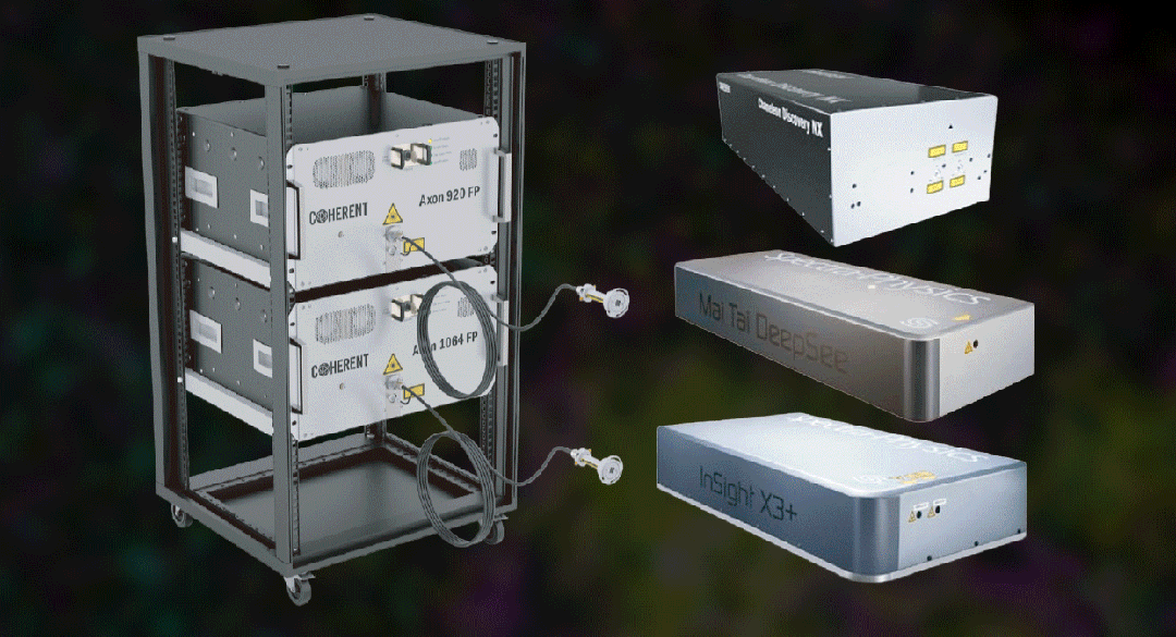 FLUOVIEW FV5000 智能全光谱共聚焦显微镜