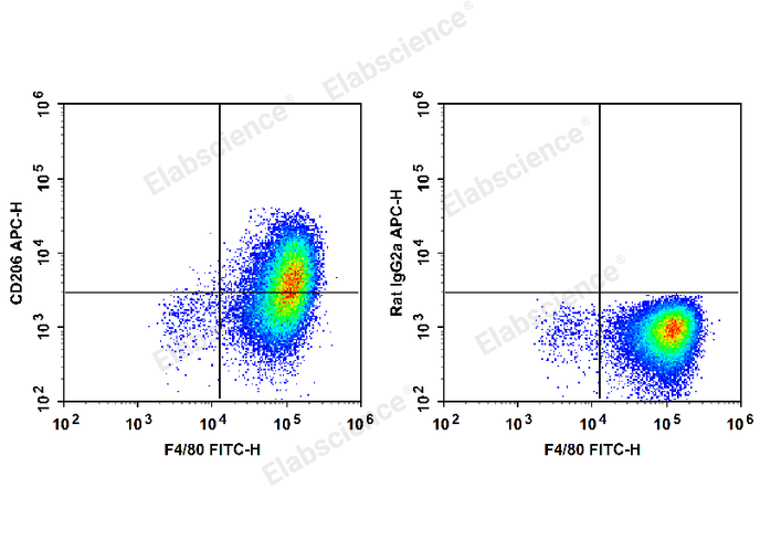 双定位识别 + 稳定性能，Elabscience 抗小鼠CD206/MMR抗体[C068C2]玩转 FCM/ICFCM 实验