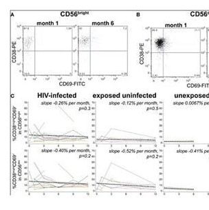 小鼠抗人CD38抗体:StarBright Blue 615荧光标记