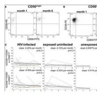 小鼠抗人CD38抗体:StarBright Blue 615荧光标记