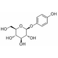 熊果苷（β型）