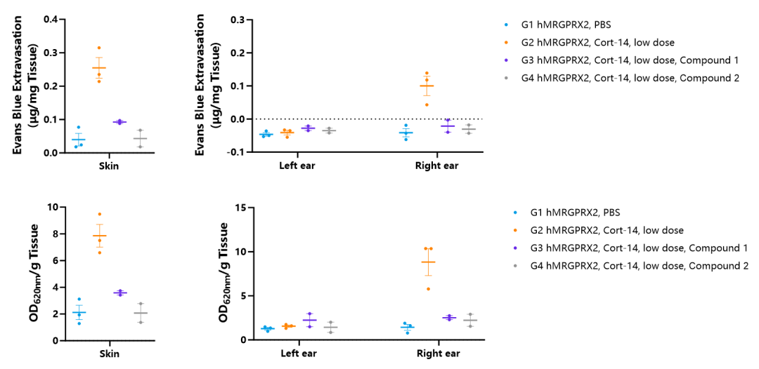 MRGPRX2：肥大细胞激活开关，过敏性疾病治疗新星！
