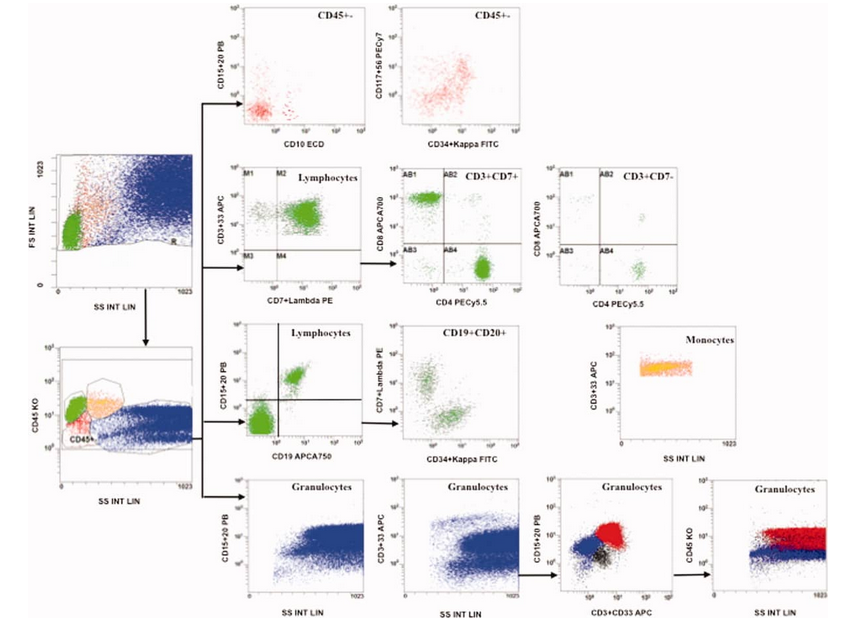 OMIP-010：用于稀有样本多谱系免疫表型分析的10色15抗体Panel
