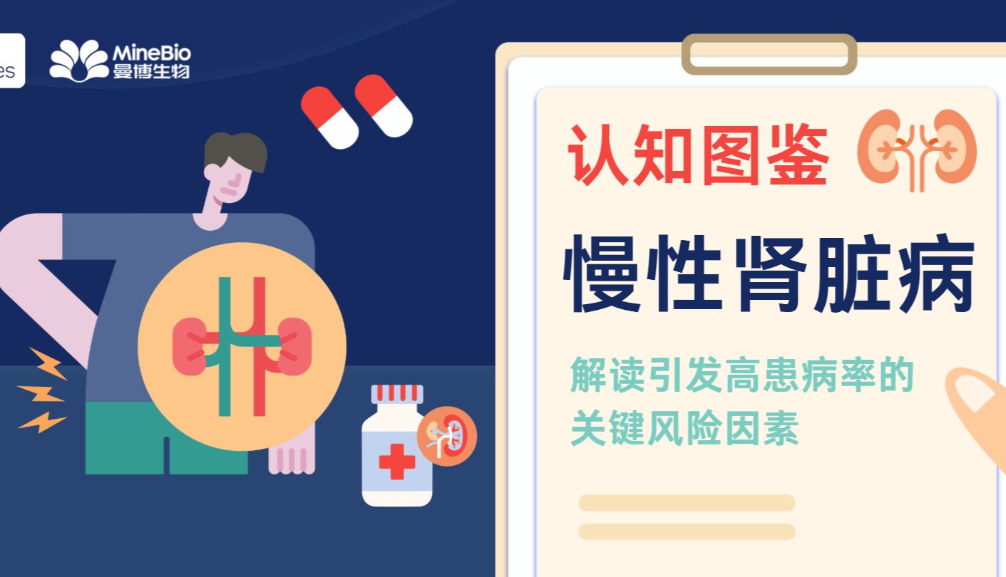 慢性肾脏病认知图鉴：全球10%的患病率背后，有哪些关键风险因素？