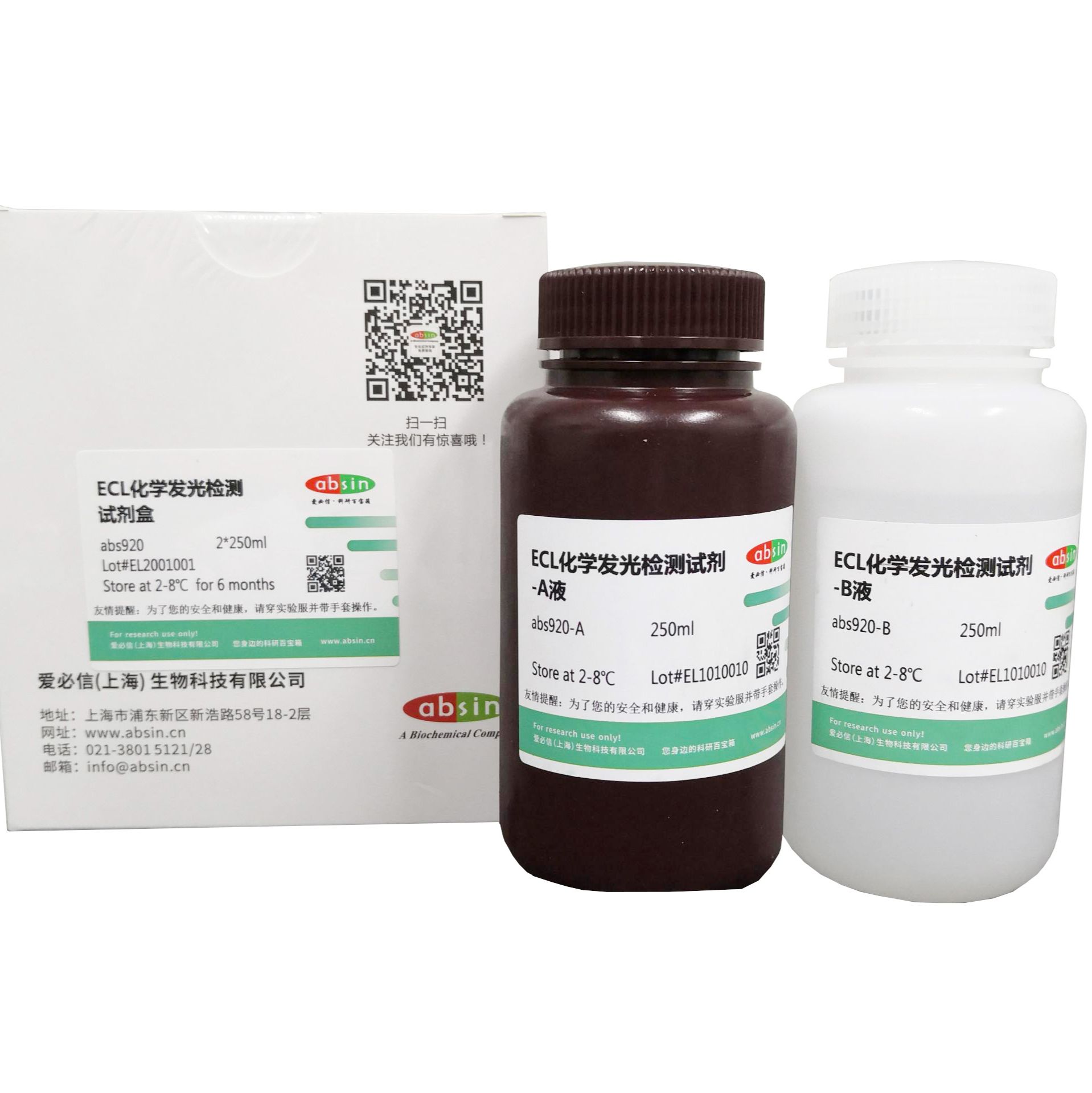 ECL化学发光检测试剂盒