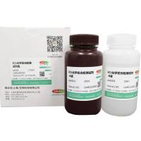 ECL化学发光检测试剂盒