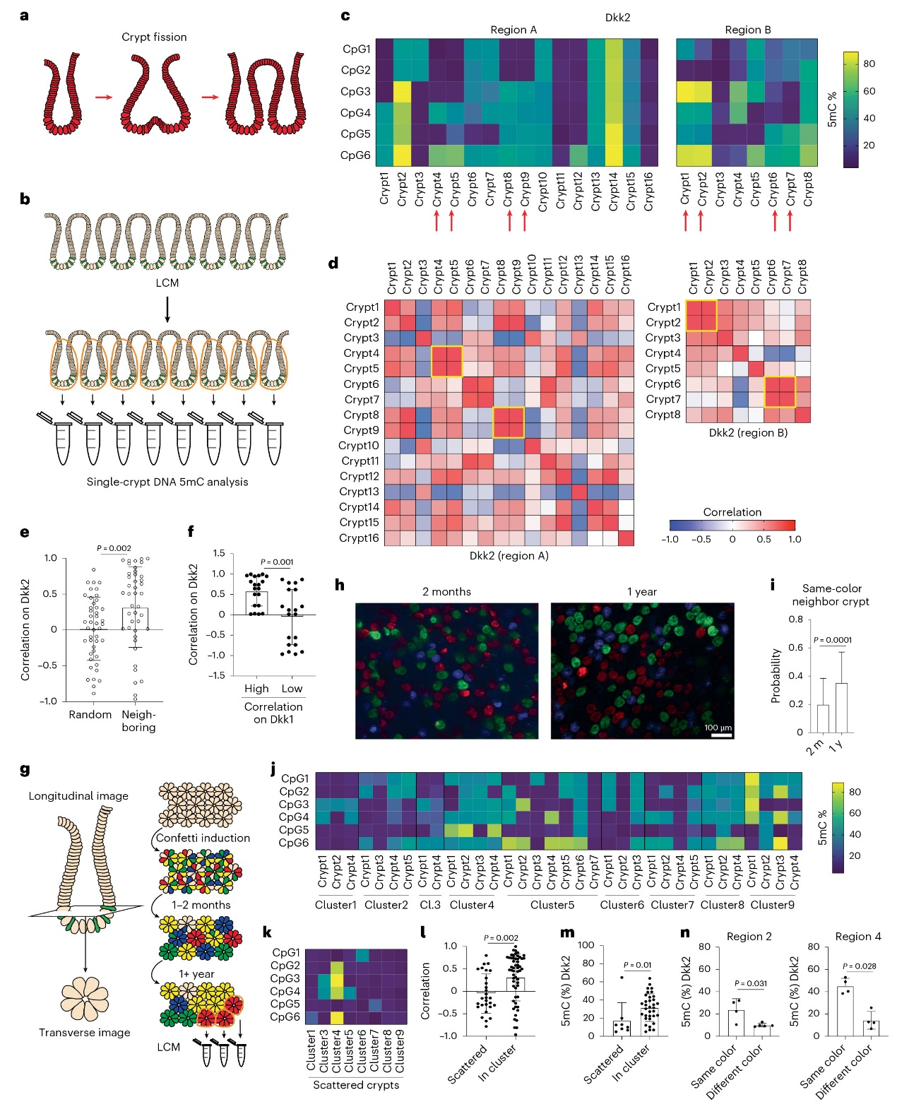 6390104825735984614964694