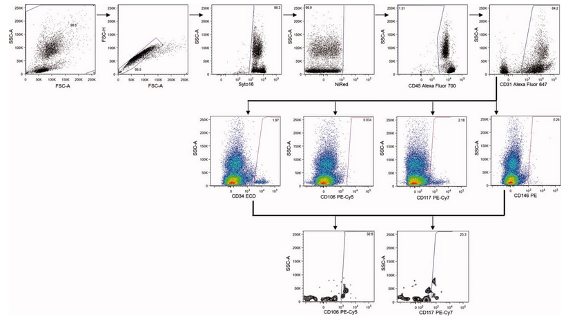 OMIP-011：8色Panel鉴定外周血中循环内皮细胞(CECs)