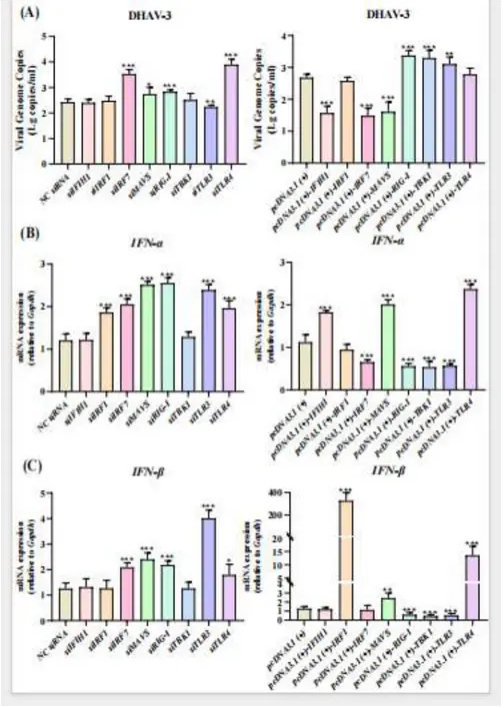普健生物Xten? Mab 单B技术助力鸭肝炎先天免疫动态机制