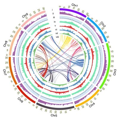 多组学与生信分析