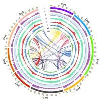 多组学与生信分析