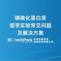 磷酸化蛋白质组学实验常见问题及解决方案
