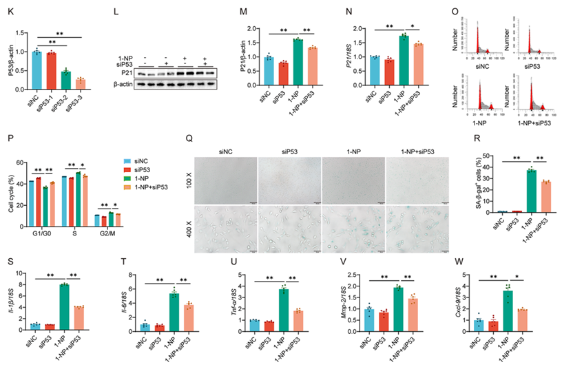 6390044214747903766050647