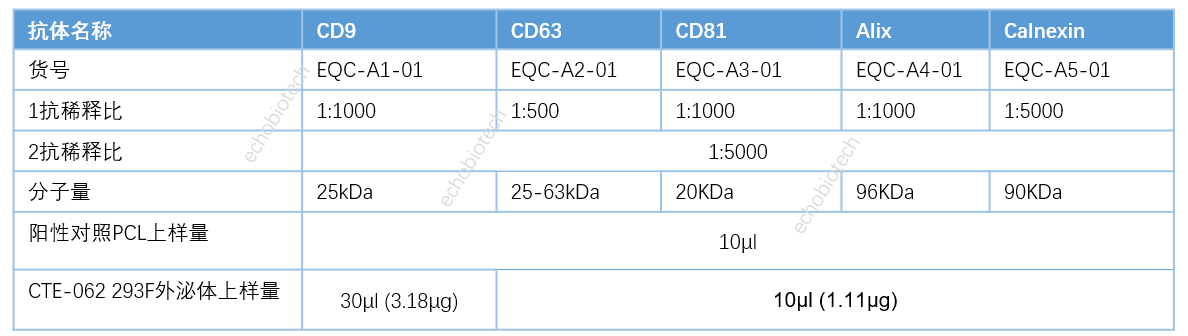 上新-ExosuperQC外泌体4阳1阴WB鉴定试剂盒-CD