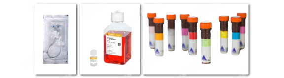 技术资料图片11