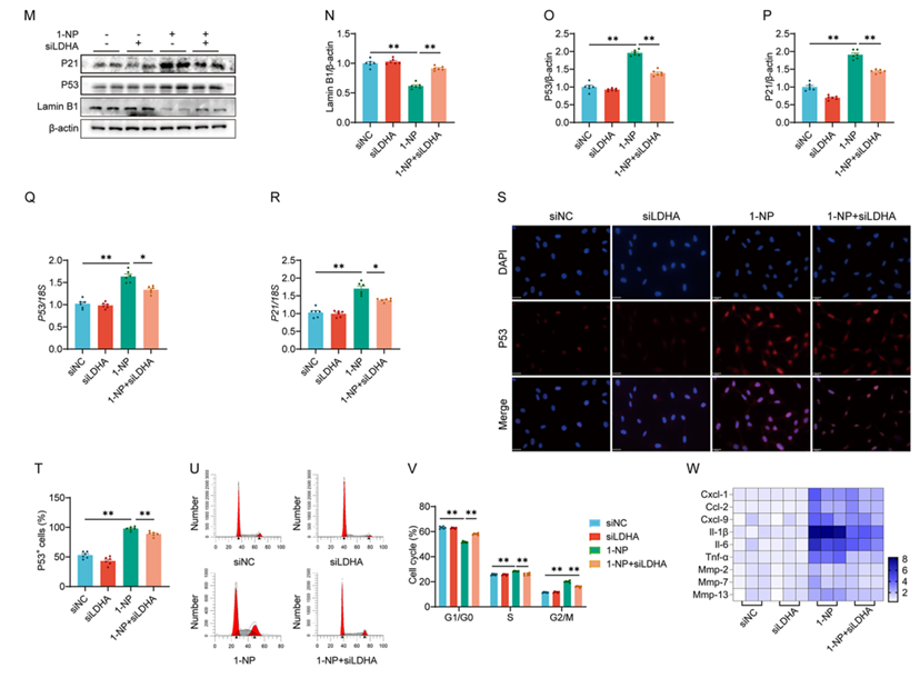 6390044209689021808668805