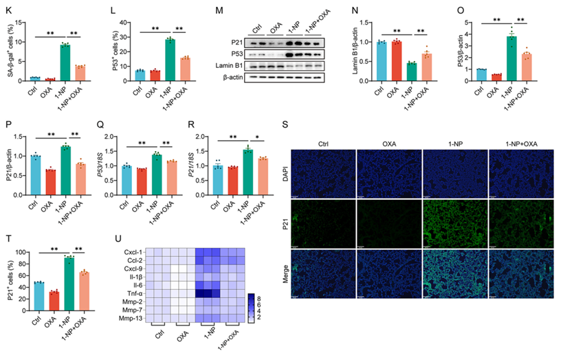 6390044218898018267717306