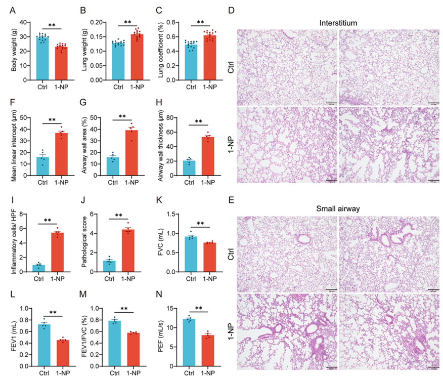 6390044194682810763955544