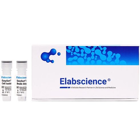 人记忆CD8+T细胞阴性分选试剂盒