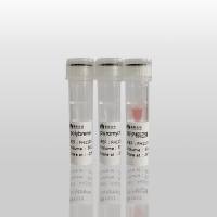 红色荧光蛋白标记试剂盒