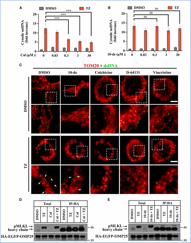 6390052931701564418587523