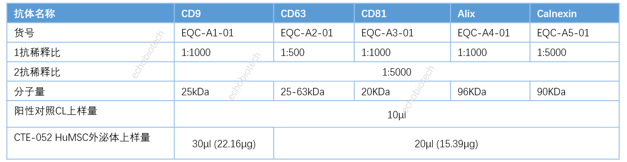 上新-ExosuperQC外泌体4阳1阴WB鉴定试剂盒-CD
