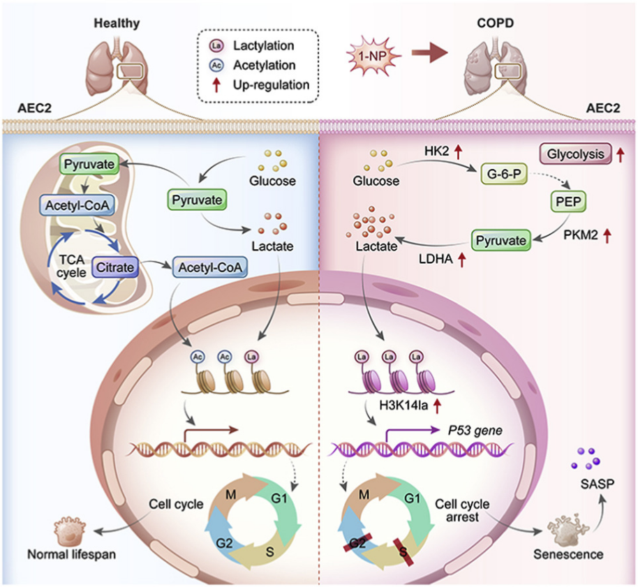 6390044191176070613091419