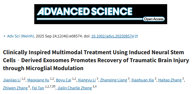 IF 14+创新思路get！工程化外泌体双路径递送，为脑修复研究打开新思路！