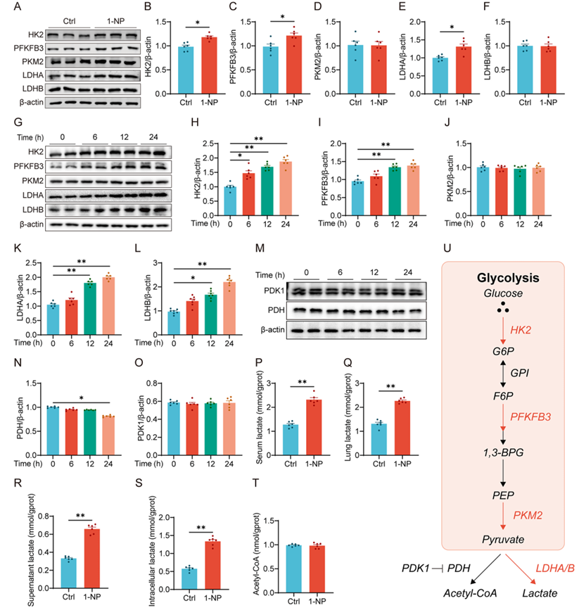 6390044199529350946885417
