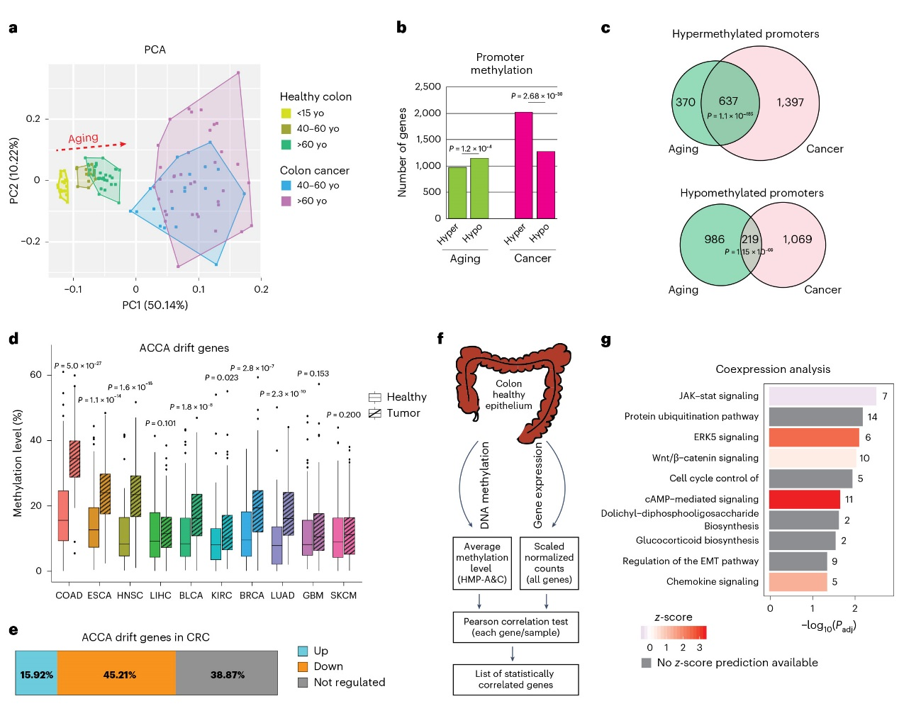 6390104816903016001501589
