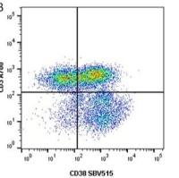 小鼠抗人CD38抗体：StarBright Blue 580荧光标记