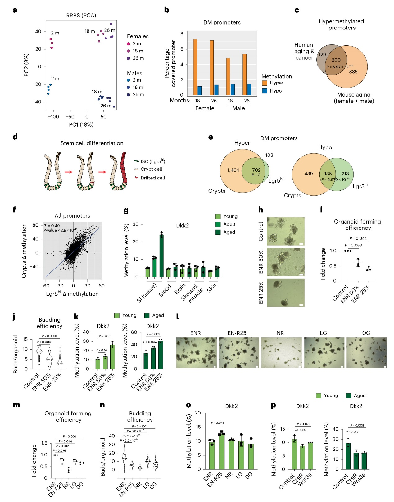 6390104818837310848856341