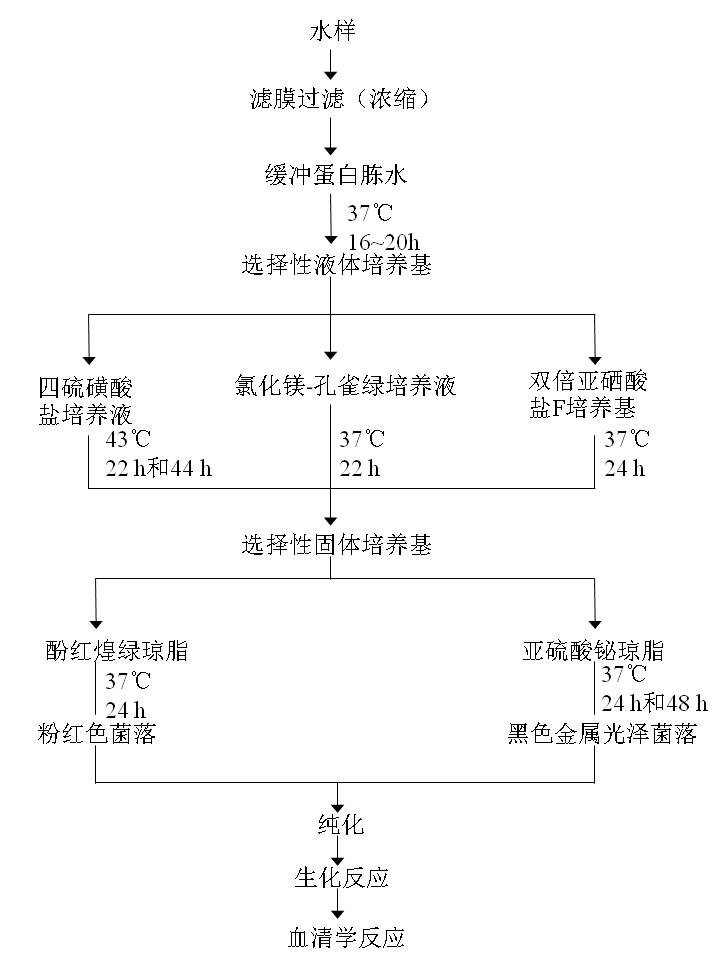 近岸河流水域微生物检测