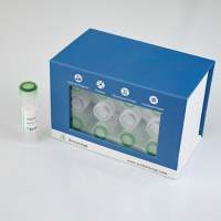 dNTP Set Solution(dATP,dCTP,dTTP,dGTP,100 mM each)脱氧核糖核苷三磷酸溶液套装