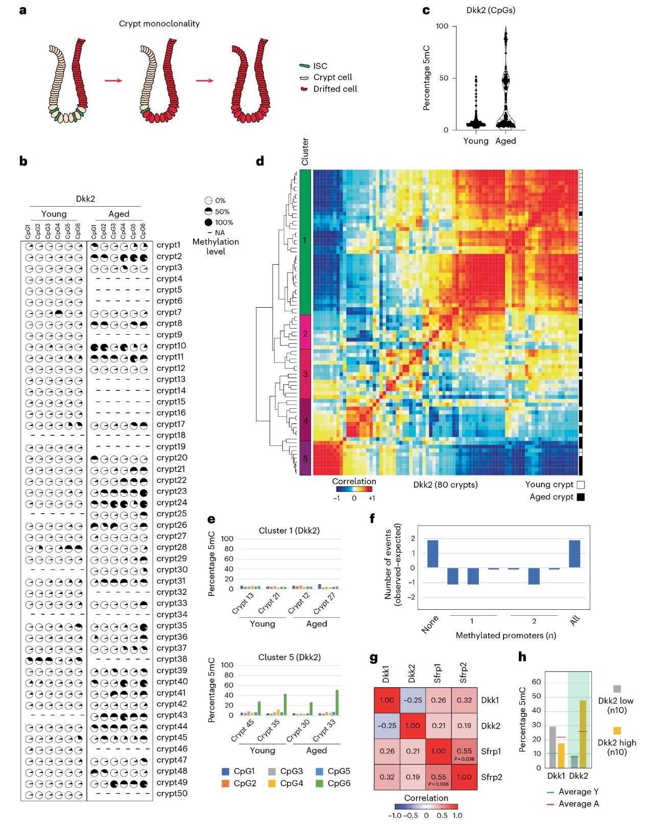 6390104821036780146321960