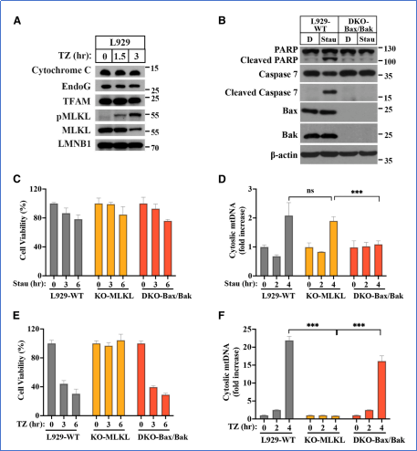 6390052928765348079209293