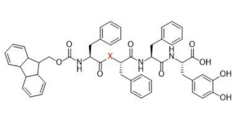 Fmoc–F–FF–DOPA 芳香族四肽 强自组装能力形成纳