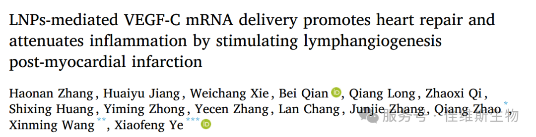 客户文章【Biomaterials】丨组织透明化三维成像技术揭示了一种全新的可用于心梗治疗的药物传送系统