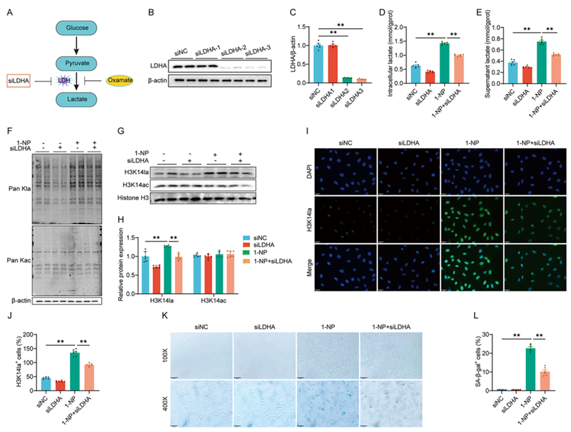 6390044207467106278721914