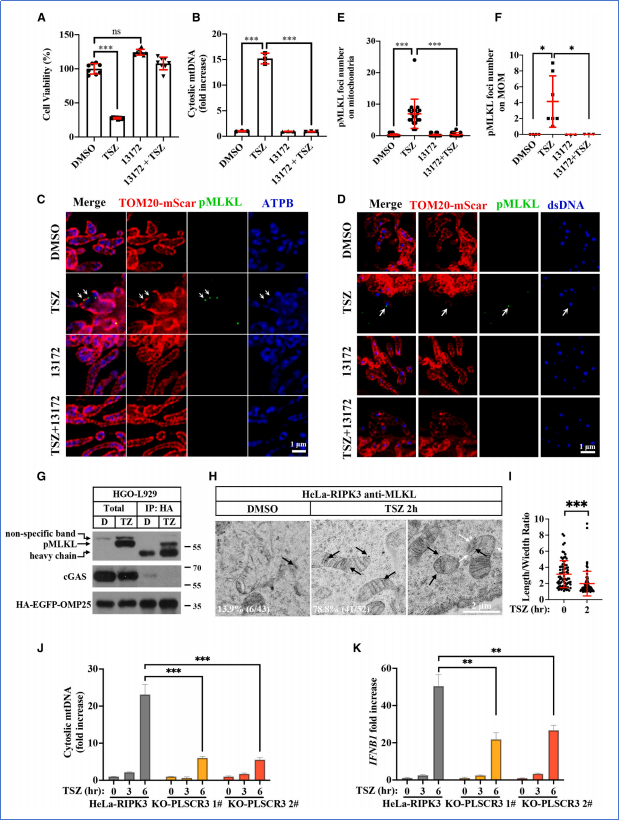 6390052929897223386781653